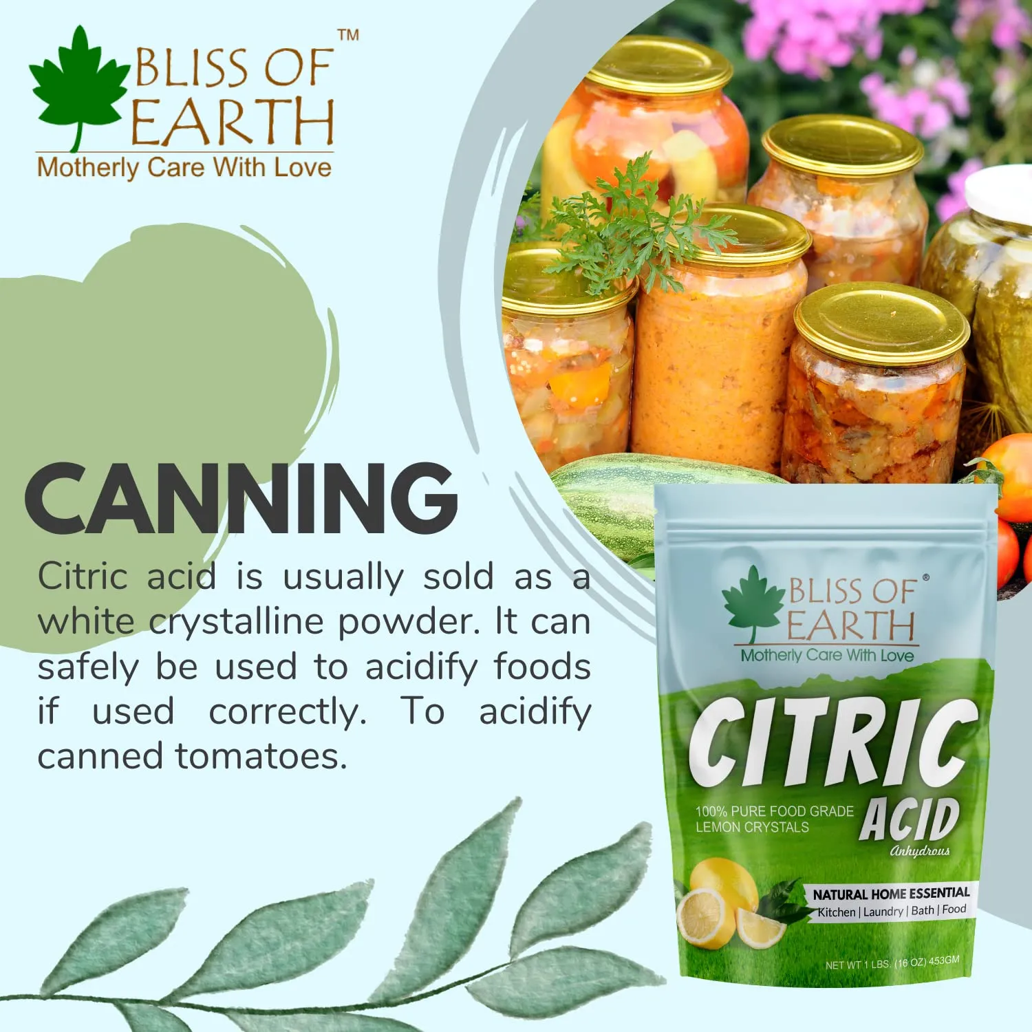 Citric Acid  powder 453gm
