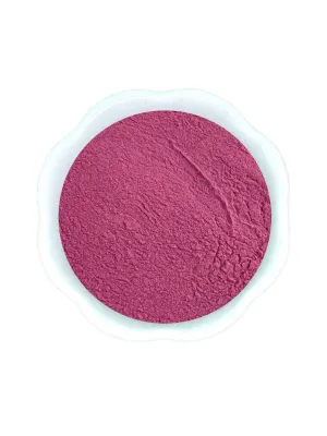 Elderberry Extract Powder