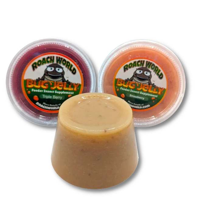 Flavored Bug Jelly
