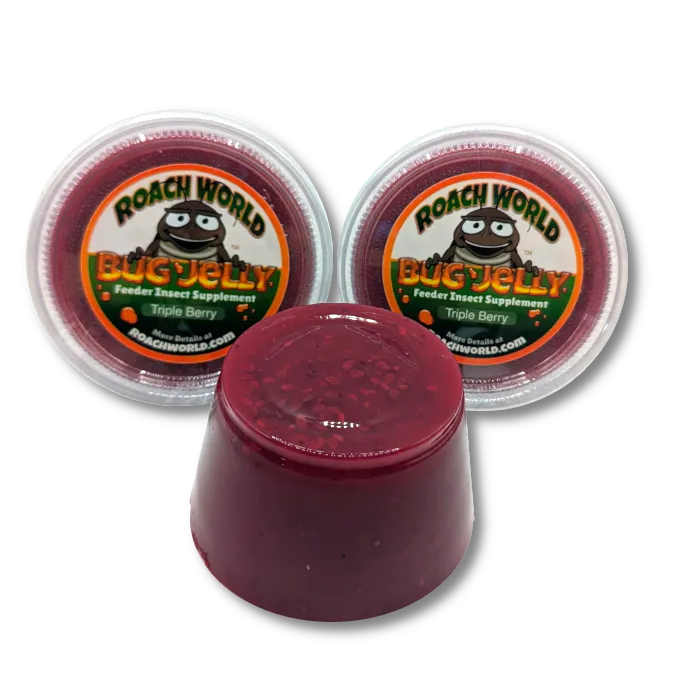 Flavored Bug Jelly
