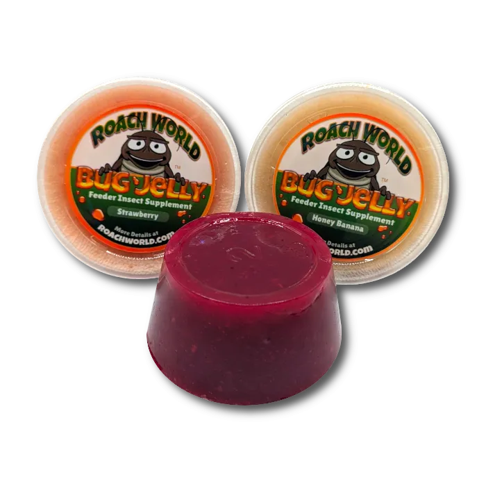 Flavored Bug Jelly