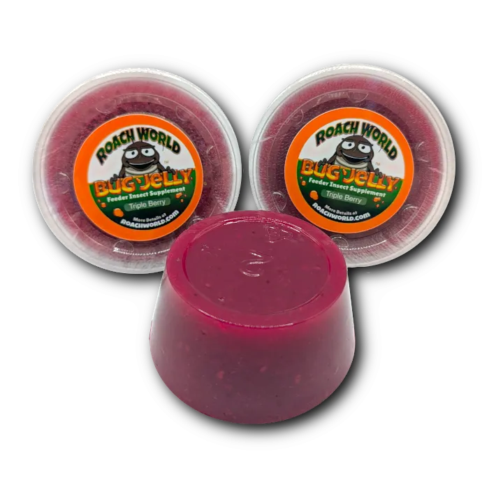 Flavored Bug Jelly