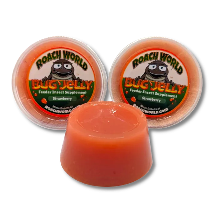 Flavored Bug Jelly