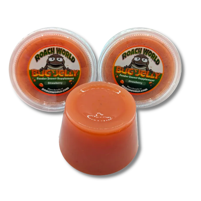 Flavored Bug Jelly