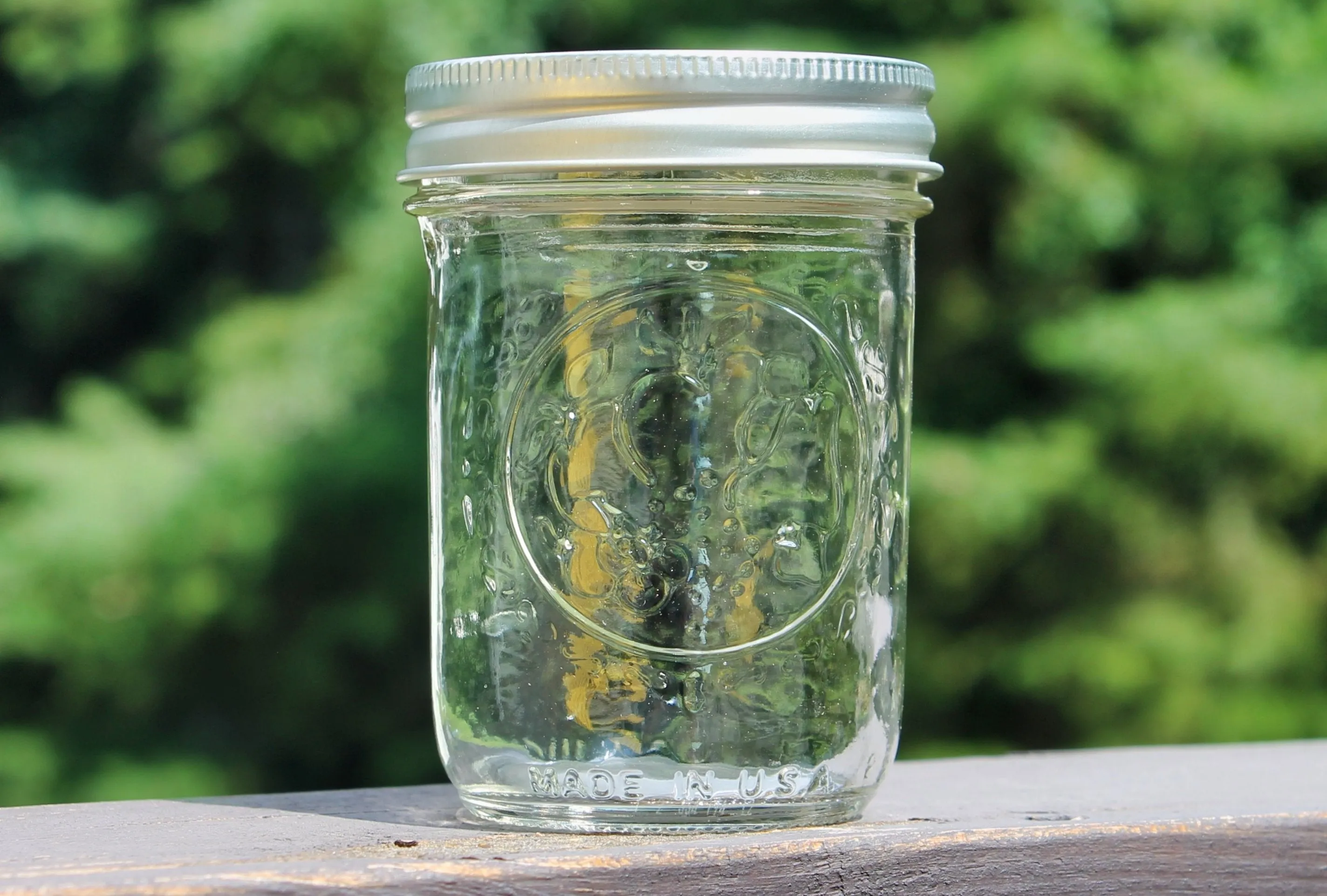 Mason Canning Jars - Regular Jelly 8 oz (Half Pt.) Ball