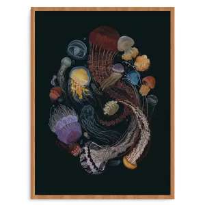 Medusozoa