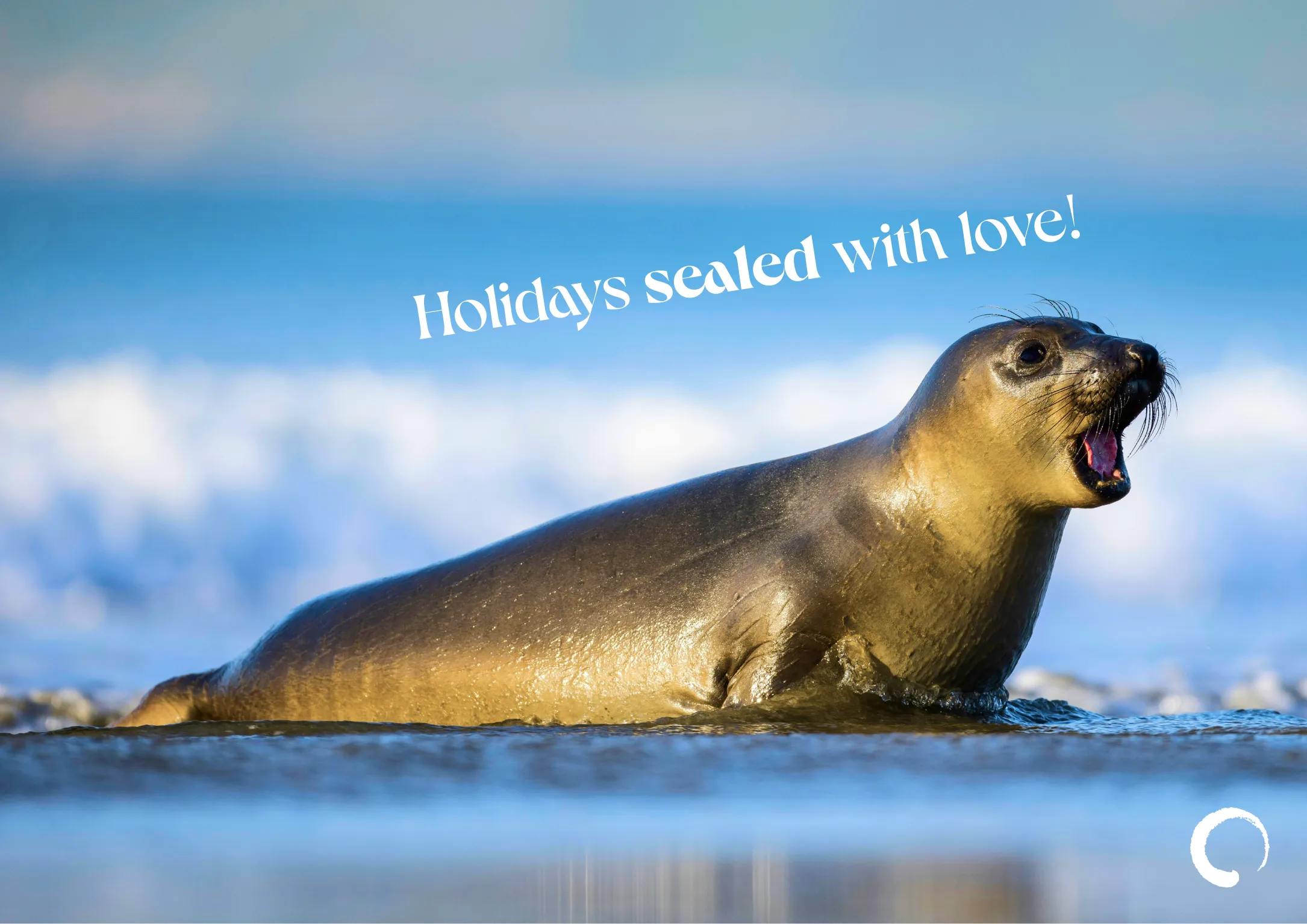 Seal-ed with Love Holiday Card   OG Recognition   Digital Coloring Book
