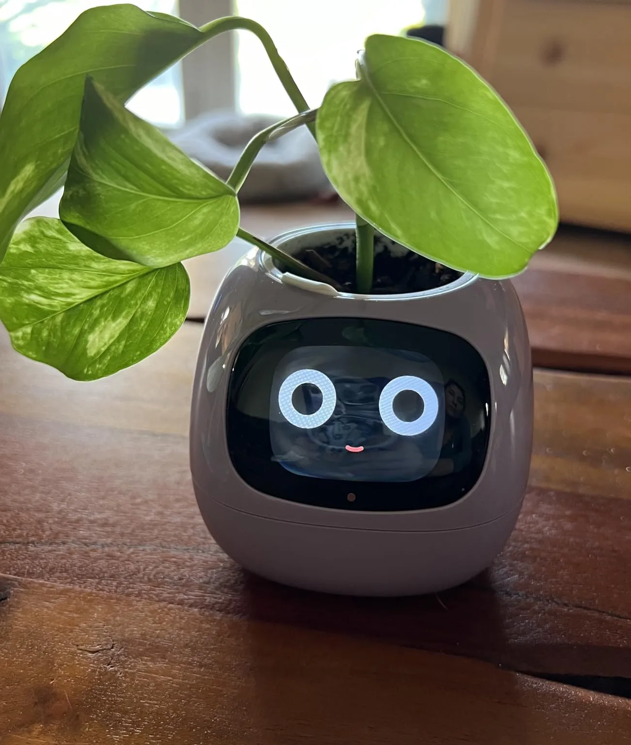 Smart Planter Ivy: AI-Powered Plant Care, Flowerpot Easy and Fun