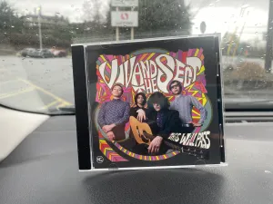 Viv and the Sect – This Will Pass - Used CD