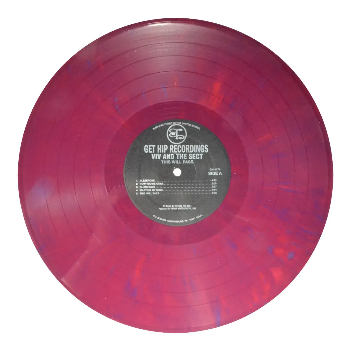 Viv and the Sect – This Will Pass [VIOLET VINYL] - New LP